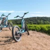 Oenotourisme photo de vélos devant des vignes