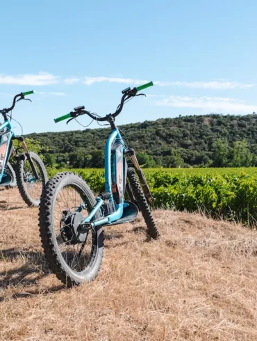 Oenotourisme photo de vélos devant des vignes