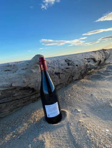 Photo bouteille Cassiopée 2021 du Domaine Stella Nova