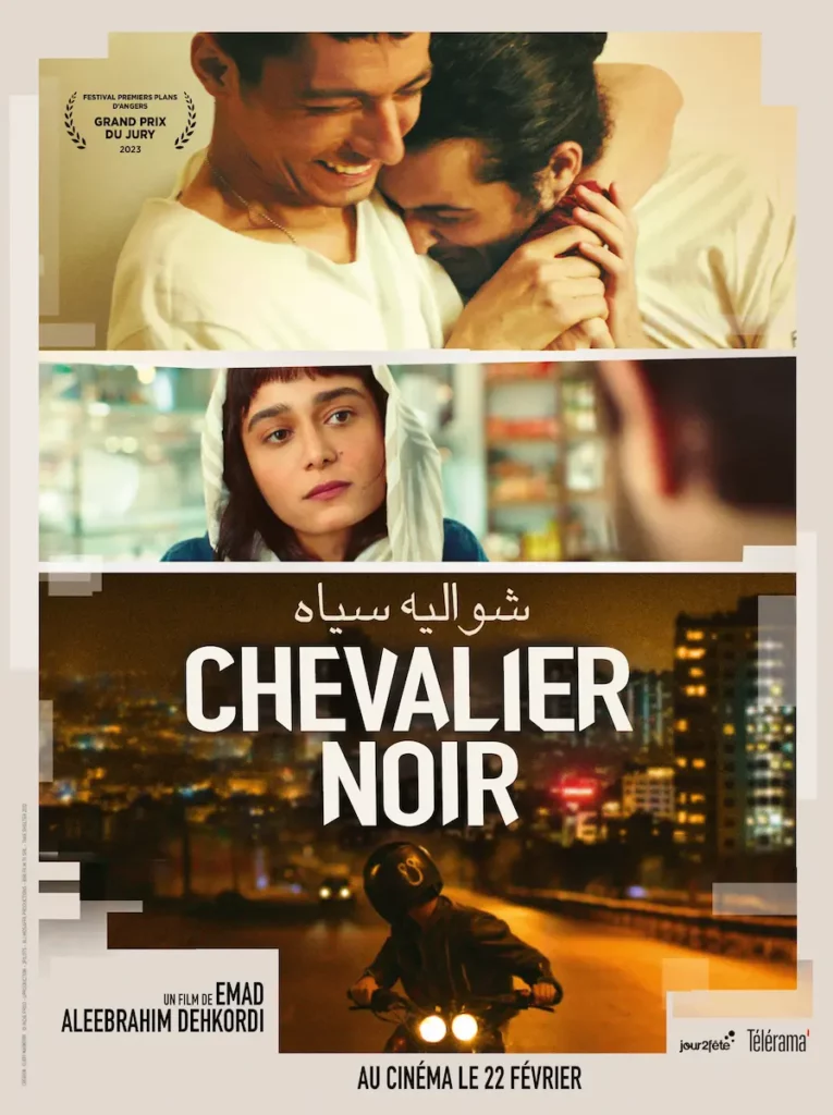 Les sorties cinéma du 22 février- affiche chevalier noir