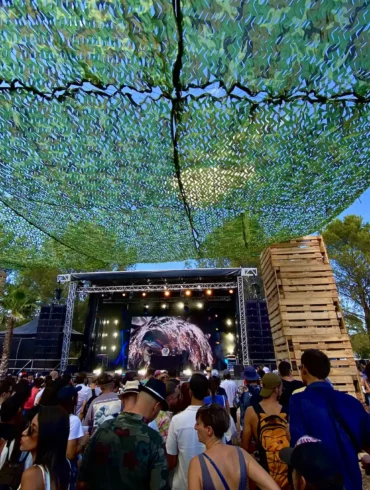 Photo du festival Palmarosa