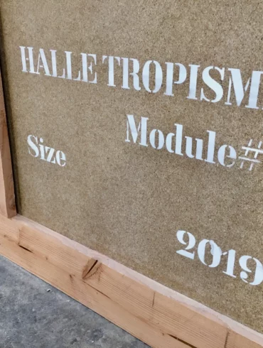 Halle, tropisme. Montpellier