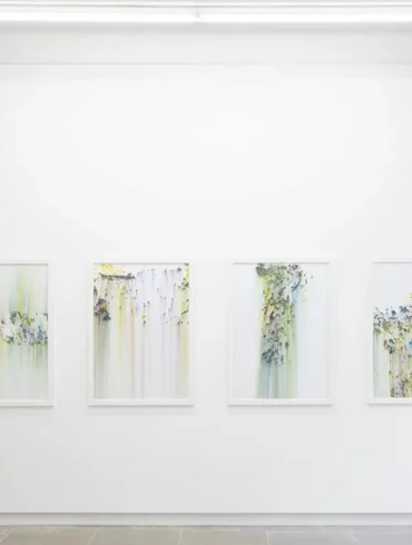 Gilles Balmet Waterfalls