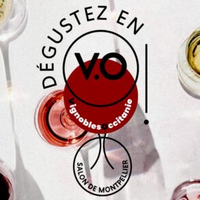 Salon-des vins d'occitanie