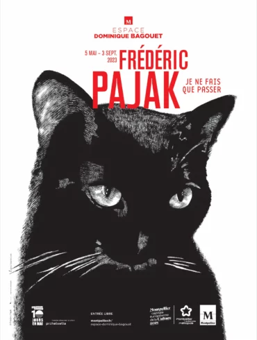 Frédéric Pajak Je ne fais que passer