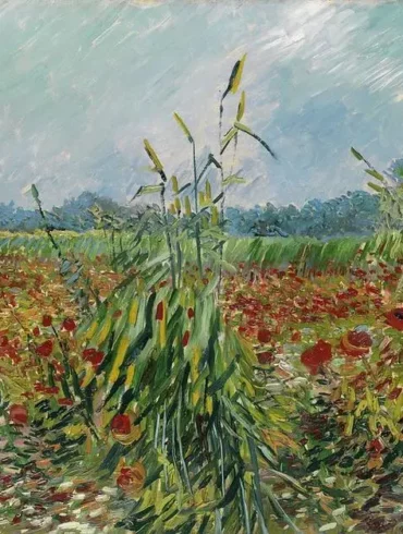 vincent-van-gogh-sols-fertiles