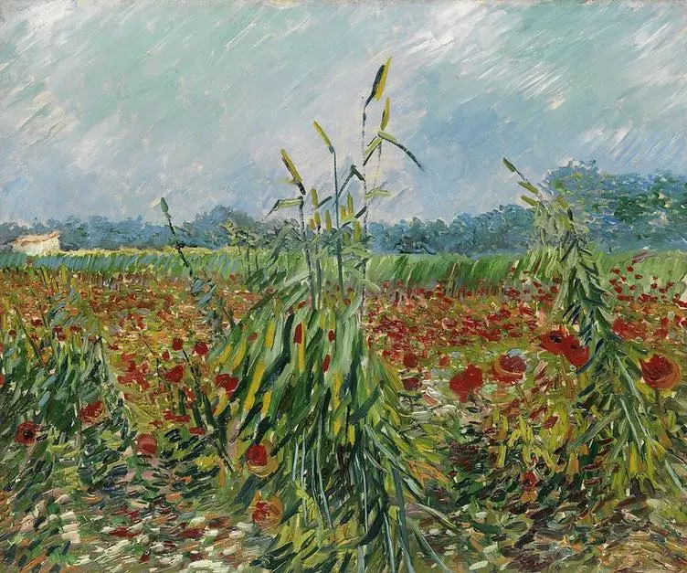 vincent-van-gogh-sols-fertiles