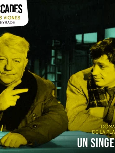 Un singe en hiver Emmuscade 2023