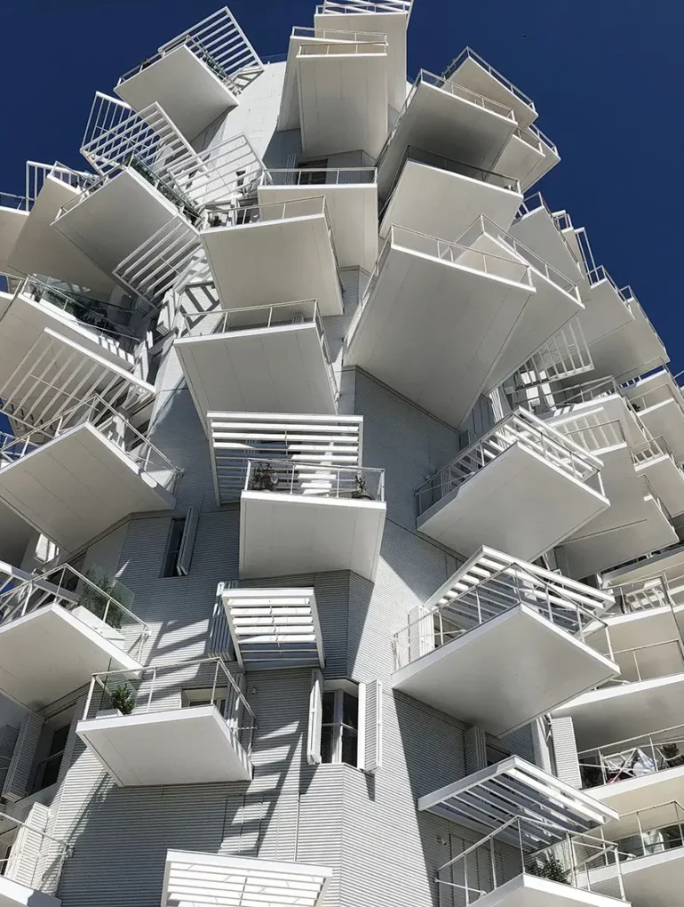 arbre-blanc-montpellier