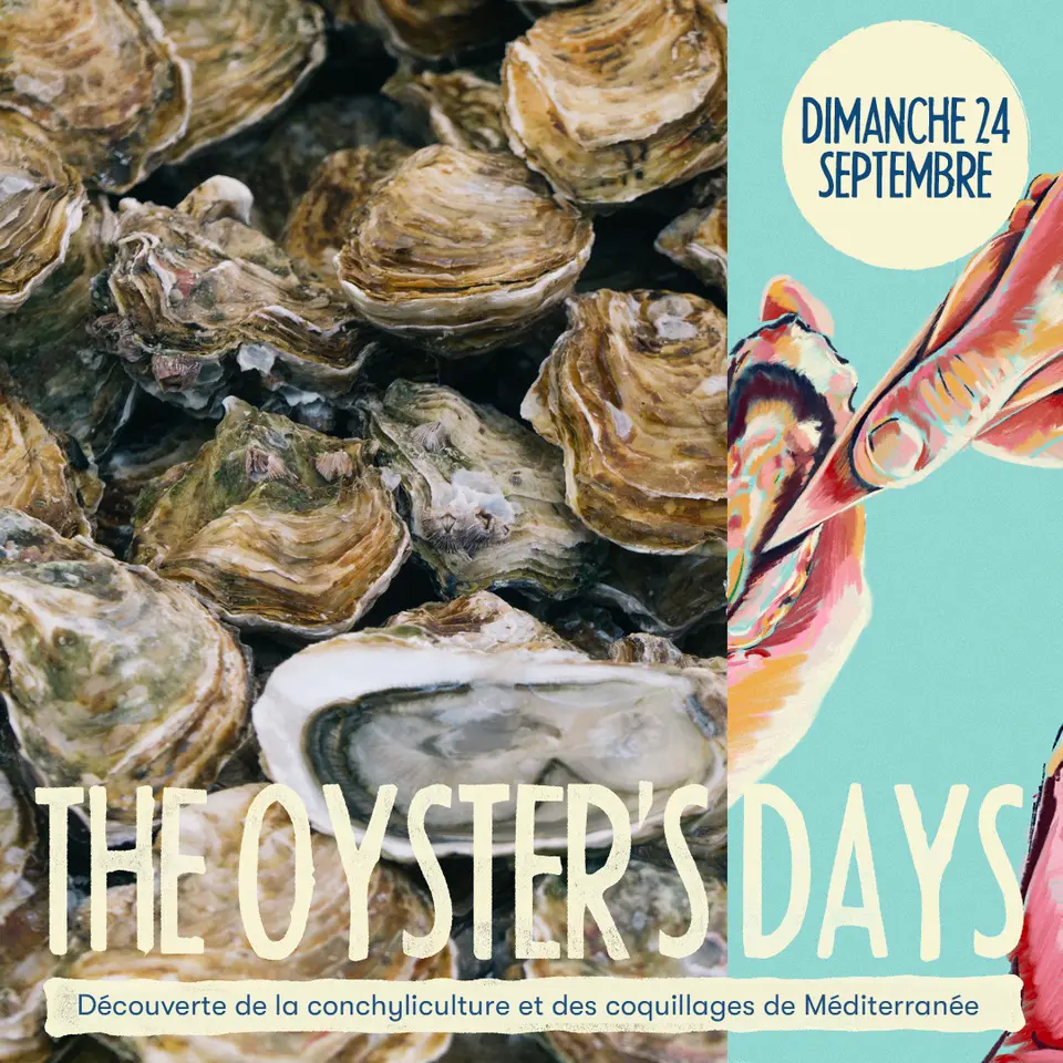 photo d'huîtres Oyster's days