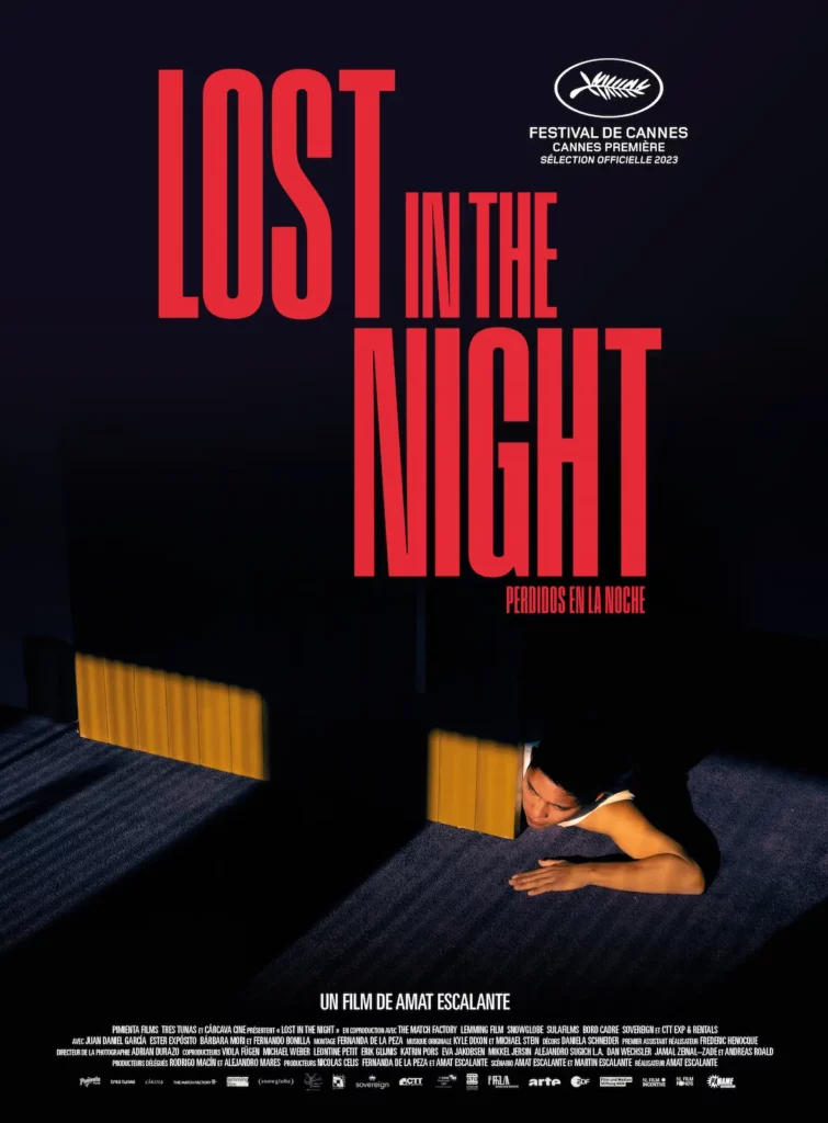 Affiche Lost in the Night