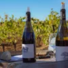 Deux bouteilles de vin posées sur une table dans les vignes IGP du Gard