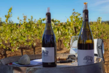 Deux bouteilles de vin posées sur une table dans les vignes IGP du Gard