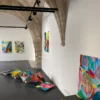 anais-boileau-expose-a-l-espace-saint-ravy-a-montpellier