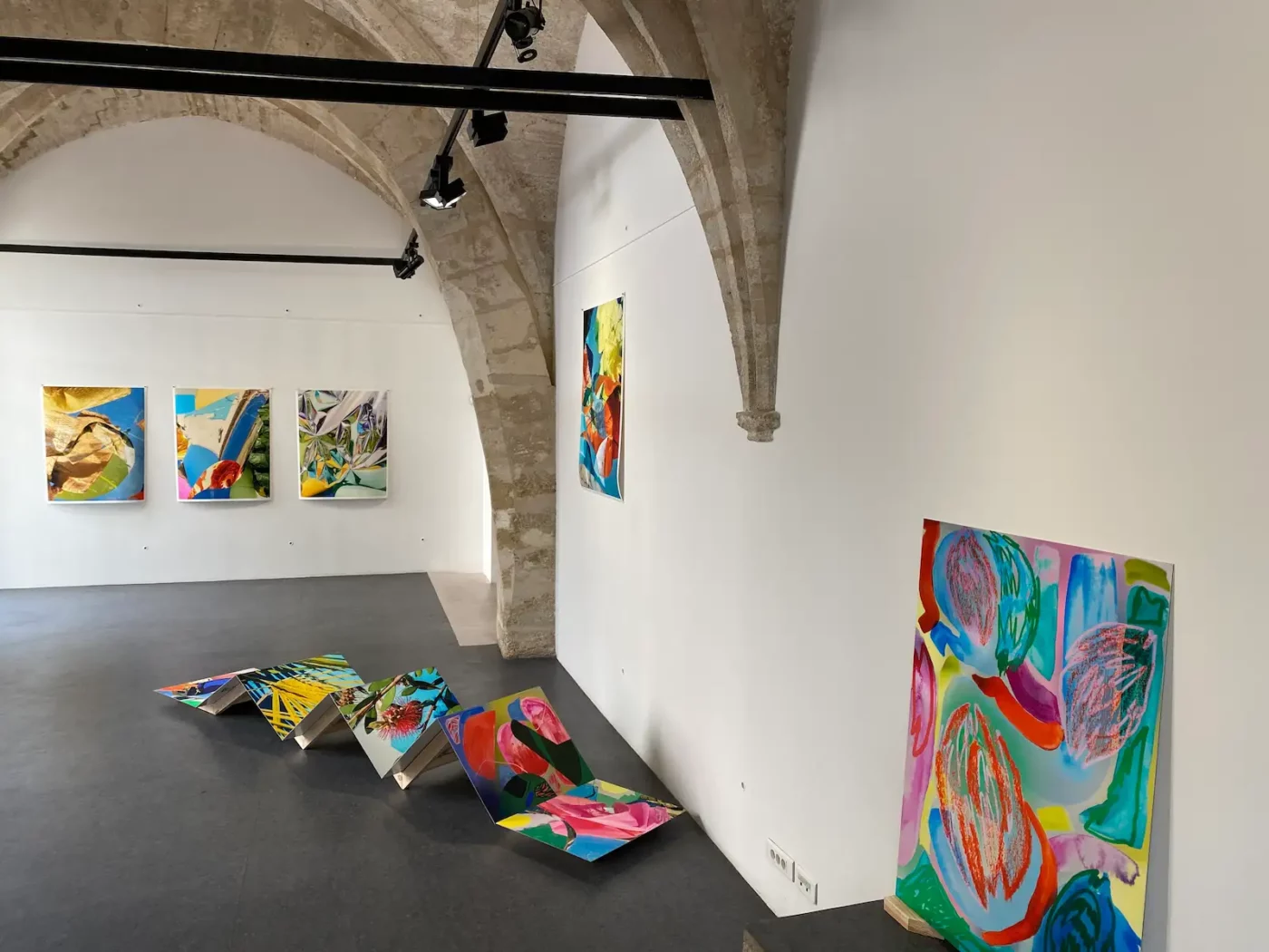 anais-boileau-expose-a-l-espace-saint-ravy-a-montpellier