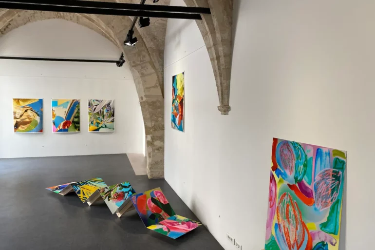 anais-boileau-expose-a-l-espace-saint-ravy-a-montpellier