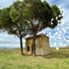les-costieres-de-l-art