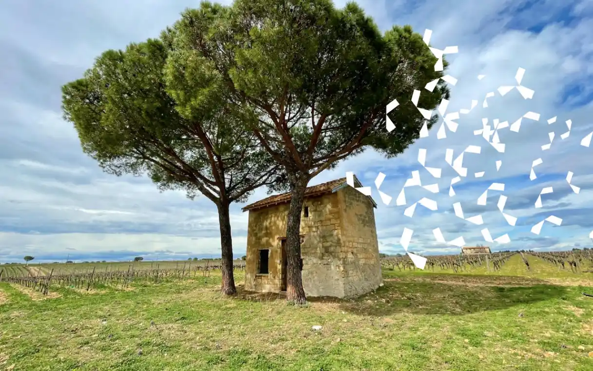 les-costieres-de-l-art