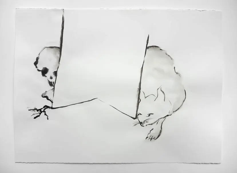 festival-du-dessin-2025