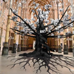 JR Adventice Carré Saint-Anne