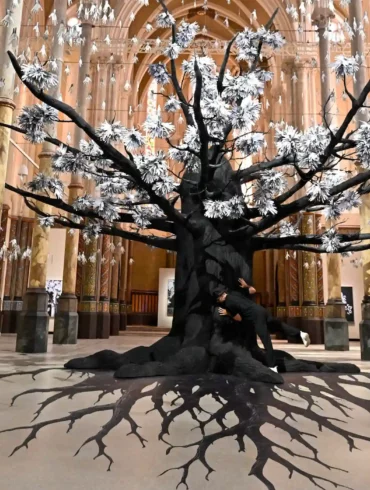 JR Adventice Carré Saint-Anne