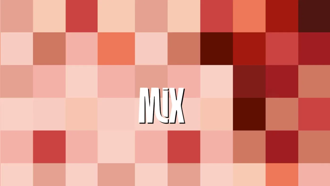 MIX-Deleuze-Rochetin