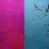 nicole-bousquet-exposition-animale-vauvert