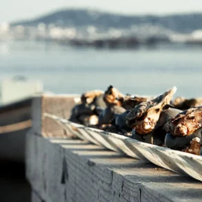 Oyster day sète huitres picpoul