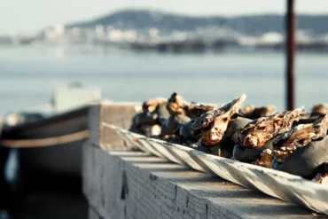 Oyster day sète huitres picpoul