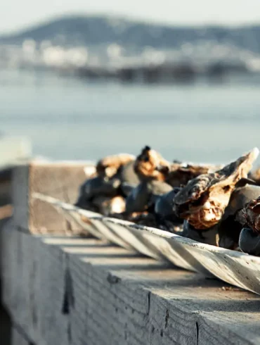 Oyster day sète huitres picpoul