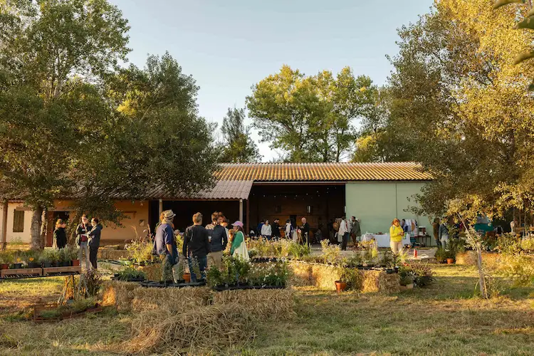 fete-des-plantes