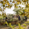 la-fete-des-plantes