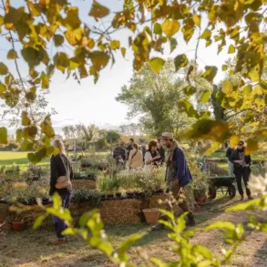 la-fete-des-plantes