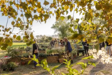 la-fete-des-plantes
