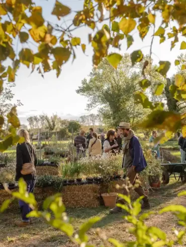 la-fete-des-plantes