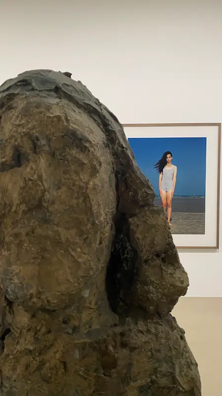 a-vincent-un-conte-d-hiver