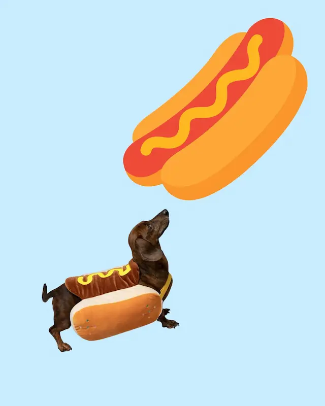 hot-dogs-et-pinard