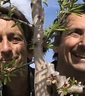 Matthieu et Alexandre Bameule dans leur verger bio de grenadiers à Nîmes, producteurs du jus La Grenade Française