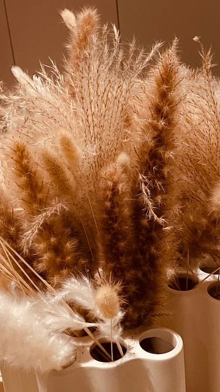 horizon-resort-massane-detail