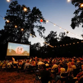 Cinéma plein air 6 événements Arles à Sète
