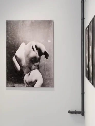 akari-takenobu